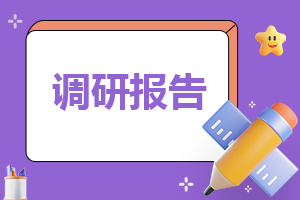环境污染问题调查报告完整版