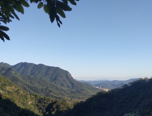 大学生自我介绍简短范文