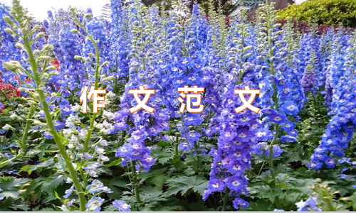 四年级我的校园400字<a href=/xueshengzuowen/ target=_blank class=infotextkey>作文</a>范例10篇参考