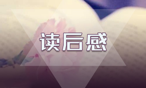 优秀小学小王子读后感800字